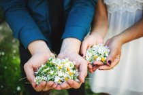 Man and woman holding handfuls of chamomile flowers — Stock Photo