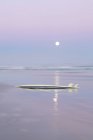 Живописный вид солнца над горизонтом воды с доской для серфинга — стоковое фото