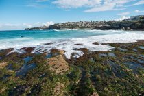 Vista panorámica de la playa de Tamarama, Sydney, Nueva Gales del Sur, Australia - foto de stock