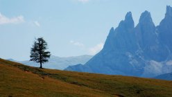 Vista panorámica del árbol solitario en el hermoso paisaje de dolomita - foto de stock