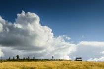 Scenic view of storm clouds above house in fields, chile — Stock Photo