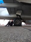 Piloto sentado apoyado contra el avión en el aeropuerto y mirando a la cámara - foto de stock