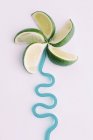 Lime formed in conceptual flower shape — Stock Photo