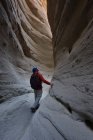 Estados Unidos, California, Parque Estatal del Desierto de Anza-Borrego, Hombre caminando por Palm Slot Canyon - foto de stock