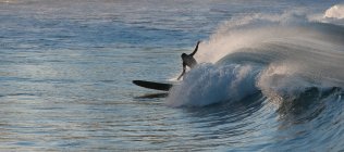 Силуэт серфера балансирующего на волне в океане — стоковое фото