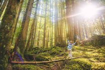 Junge balanciert bei Gegenlicht auf Baumstamm im Wald — Stockfoto