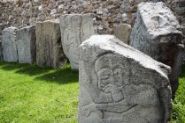 México, Oaxaca, Santa Cruz Xoxocotlan, Monte Alban, Losas de piedra con tallas expuestas sobre hierba - foto de stock