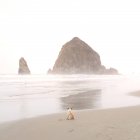Вид сзади на мопса, сидящего на пляже — стоковое фото