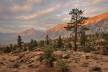 USA, California, Sunrise of Wheeler Ridge and Mt Tom — Stock Photo