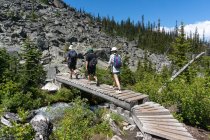 Canadá, Columbia Británica, Parque Provincial de los Lagos Joffre, Senderistas cruzando pasarela - foto de stock