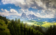 Красивые скалистые горы с лесными деревьями и облачным небом — стоковое фото