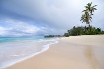 Complejo tropical, palmeras en la playa en el agua de mar - foto de stock