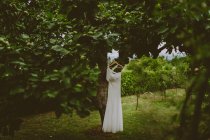 Vestido de noiva em uma bela árvore com fundo verde — Fotografia de Stock