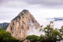 Bellissime montagne rocciose paesaggio e alberi — Foto stock
