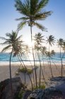 Tropical resort, palm trees on beach at sea water — Stock Photo