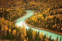 Flusslauf und Wald mit Herbstbäumen — Stockfoto