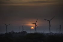 Beautiful sunset sky and wind turbines — Stock Photo