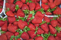 Vue de dessus des fraises rouges fraîches sur le marché — Photo de stock