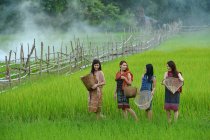Donna asiatica che indossa la cultura tradizionale tailandese, a piedi per andare a casa su ricefield, in stile vintage — Foto stock