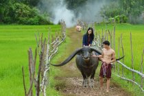 Handsome and beautiful woman thai traditional culture with buffalo,Thailand — Stock Photo