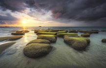Rochers de rochers avec paysage marin de mousse verte vue coucher de soleil à tindakon dazang Beach Kudat, sabah, Malaisie — Photo de stock