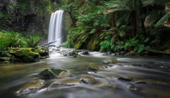 Vista panorámica de Hopetoun Falls, Parque Nacional Great Otways, Victoria . - foto de stock