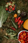 Top view of vegetable harvest over green grass — Stock Photo