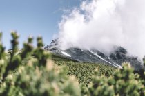 Vue panoramique sur les nuages sur les montagnes Tatras, Slovaquie — Photo de stock