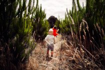 Junge und Mädchen rennen durch langes Gras — Stockfoto