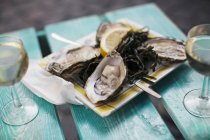 Fresh and tasty oysters with lemon and wine — Stock Photo