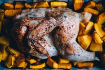 Вкусный жареный цыпленок с тыквой, вид крупным планом — стоковое фото