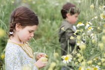 Девочка и мальчик стоят в поле маргаритки — стоковое фото