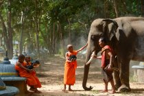 Elefante y monje, Surin Tailandia - foto de stock