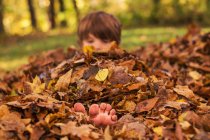 Ragazzo sepolto in un mucchio di foglie autunnali — Foto stock