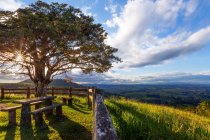 Vista paisagem rural com banco sob a árvore, Atherton Tableland, Cairns, Queensland, Austrália — Fotografia de Stock