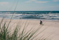 Pareja caminando por la playa, Lituania - foto de stock