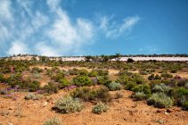 Живописный вид на Калгурли Дезерт, Западная Австралия, Австралия — стоковое фото