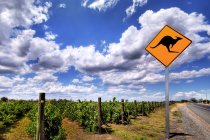 Vista panorâmica do Kangaroo Warning Sign, vinhedo e estrada, Austrália do Sul, Austrália — Fotografia de Stock
