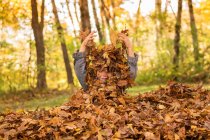 Мальчик прячется в осенних листьях на природе — стоковое фото