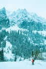 Vista panorámica del senderismo del hombre en las montañas, Telluride, Colorado, América, Estados Unidos - foto de stock