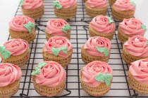 Cupcakes con crema de mantequilla rosa en un estante de enfriamiento - foto de stock