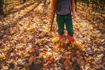 Menino vestindo botas de cowboy andando através de folhas de outono — Fotografia de Stock
