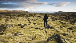 Вид сзади человека, стоящего на лавовом поле, Исландия — стоковое фото