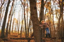 Garçon grimper un arbre dans la forêt sur la nature — Photo de stock