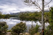 Vue du matin sur le lac de Rosebery, Tullah, Tasmanie, Australie — Photo de stock