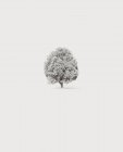 Vista panorámica del árbol solitario en la nieve - foto de stock