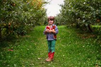 Garçon dans un verger portant des pommes sur la nature — Photo de stock