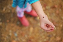 Mädchen mit einem Marienkäfer auf dem Arm Nahaufnahme — Stockfoto