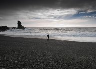 Uomo che cammina lungo la spiaggia nera, djupalonssandur, lumache, ghianda — Foto stock