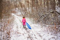 Ragazza tirando la sua slitta attraverso la neve — Foto stock